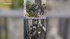 Agentes del ICE irrumpen violentamente en una vivienda en Oceanside